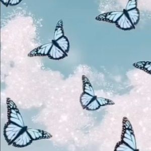 Meet your Posher, Anna beth